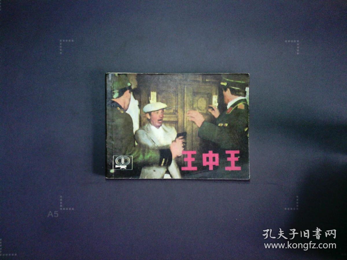 王中王資料與一肖中特管，深度解析，王中王資料與一肖中特管深度解析報(bào)告