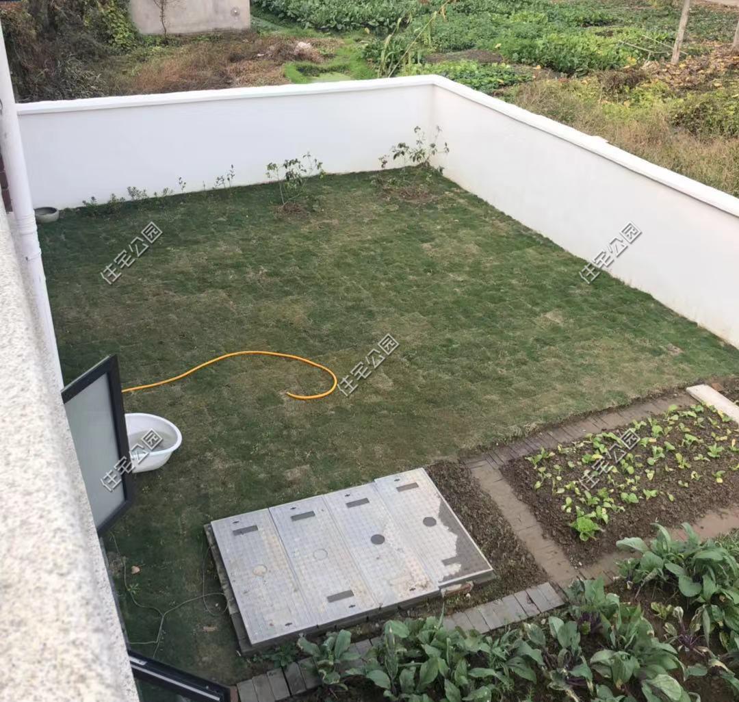 一肖中2碼，揭秘彩票背后的秘密與策略，揭秘彩票背后的策略與秘密，一肖中兩碼解析