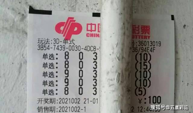 揭秘王中王平特一肖，背后的故事與奧秘，揭秘王中王平特一肖背后的故事與奧秘探秘