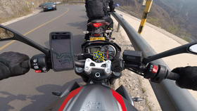 王中王310期指一生肖——揭秘生肖運勢與人生軌跡，揭秘生肖運勢與人生軌跡，王中王310期指一生肖探討返回頂部