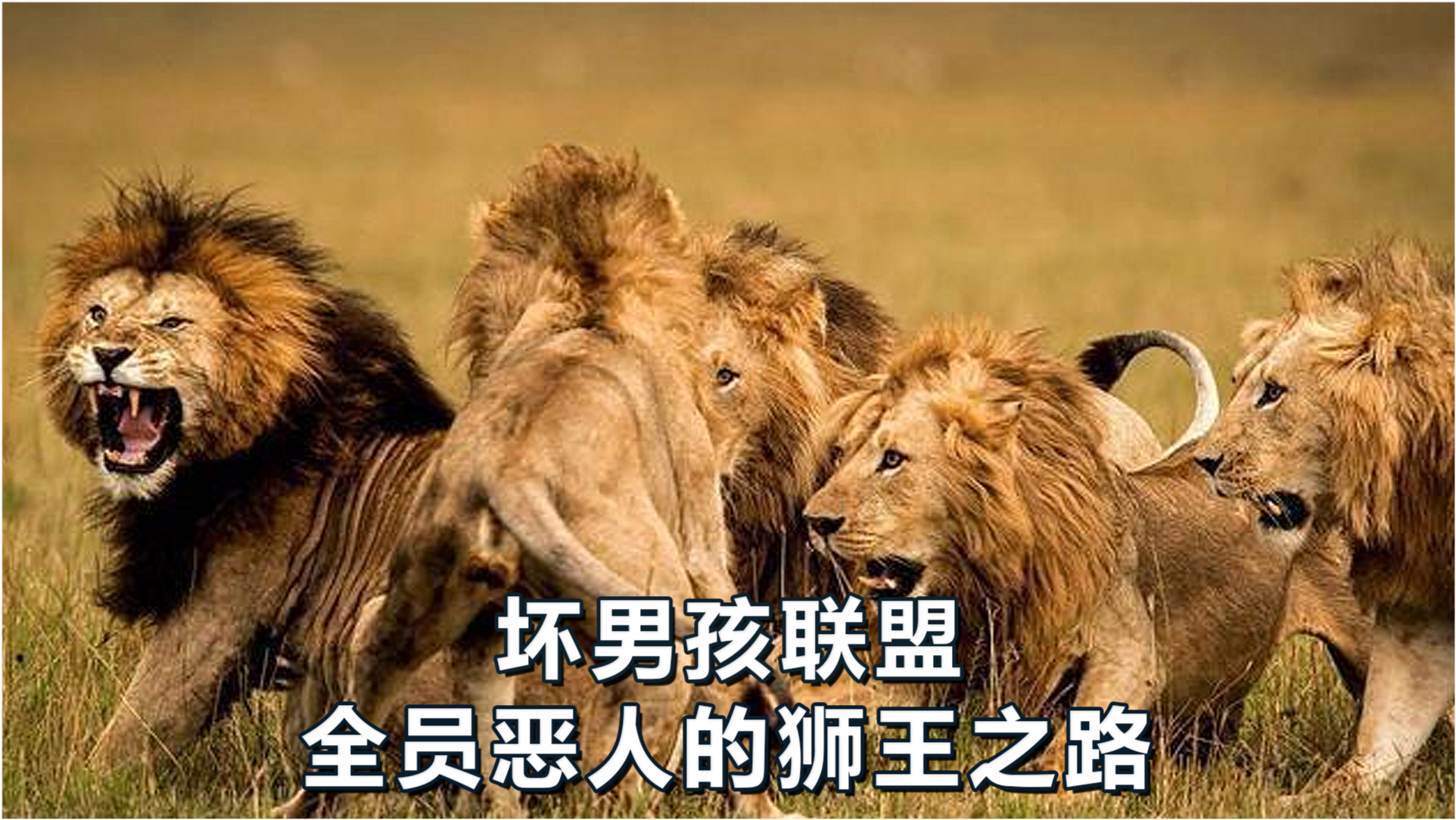 王中王必中一肖四不像圖——深度解析與探索，王中王必中一肖四不像圖深度解析與探索揭秘