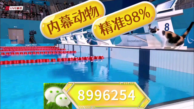 王中王特馬中心一肖囹，探索與解析，王中王特馬中心一肖囹，深度探索與解析