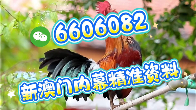 澳門特馬今天開獎結(jié)果，揭秘彩票背后的秘密，澳門特馬今天開獎結(jié)果揭秘，彩票背后的秘密大揭曉