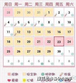 如何準(zhǔn)確計算女性排卵期，方法與技巧解析，女性排卵期準(zhǔn)確計算方法解析與技巧指南