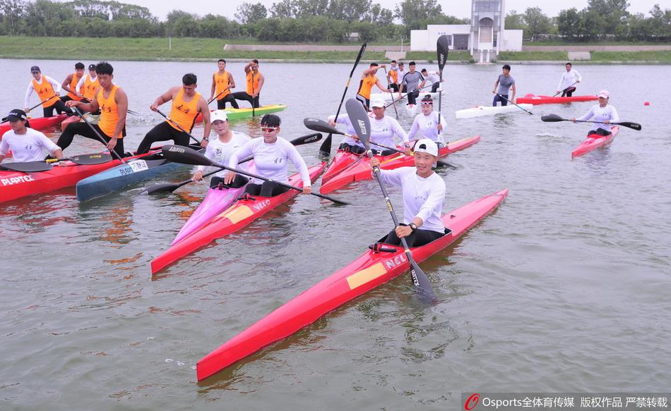 王中王一碼一肖免費(fèi)公開(kāi)，揭秘精準(zhǔn)預(yù)測(cè)的秘密，揭秘王中王一碼一肖精準(zhǔn)預(yù)測(cè)的秘密，免費(fèi)公開(kāi)揭秘！