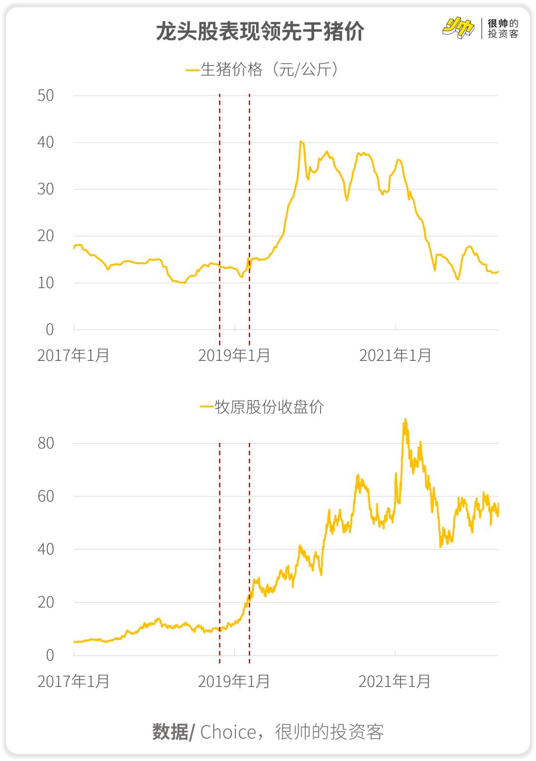 牧原股份股票行情深度解析，牧原股份股票行情全面深度解析