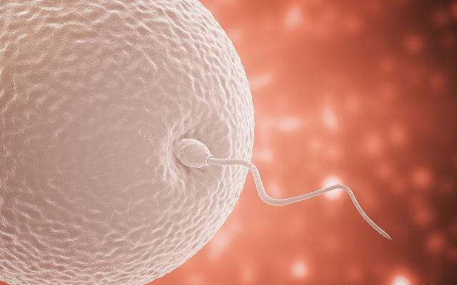 女人受孕最佳時(shí)間，掌握科學(xué)知識(shí)，迎接新生活，女人受孕最佳時(shí)間，科學(xué)指導(dǎo)下的新生活啟程