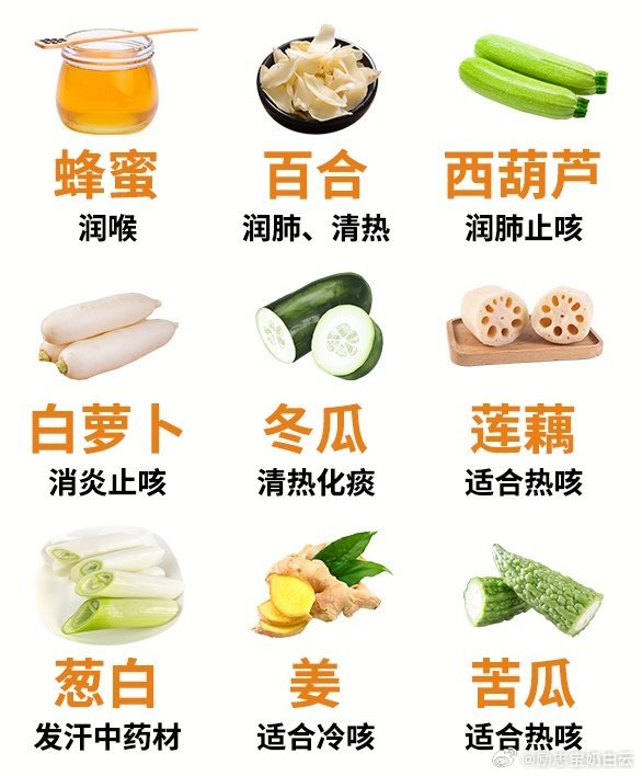 揭秘十大最佳潤(rùn)肺止咳食物排行榜，守護(hù)您的呼吸健康，揭秘，十大最佳潤(rùn)肺止咳食物排行榜，呵護(hù)您的呼吸健康之路