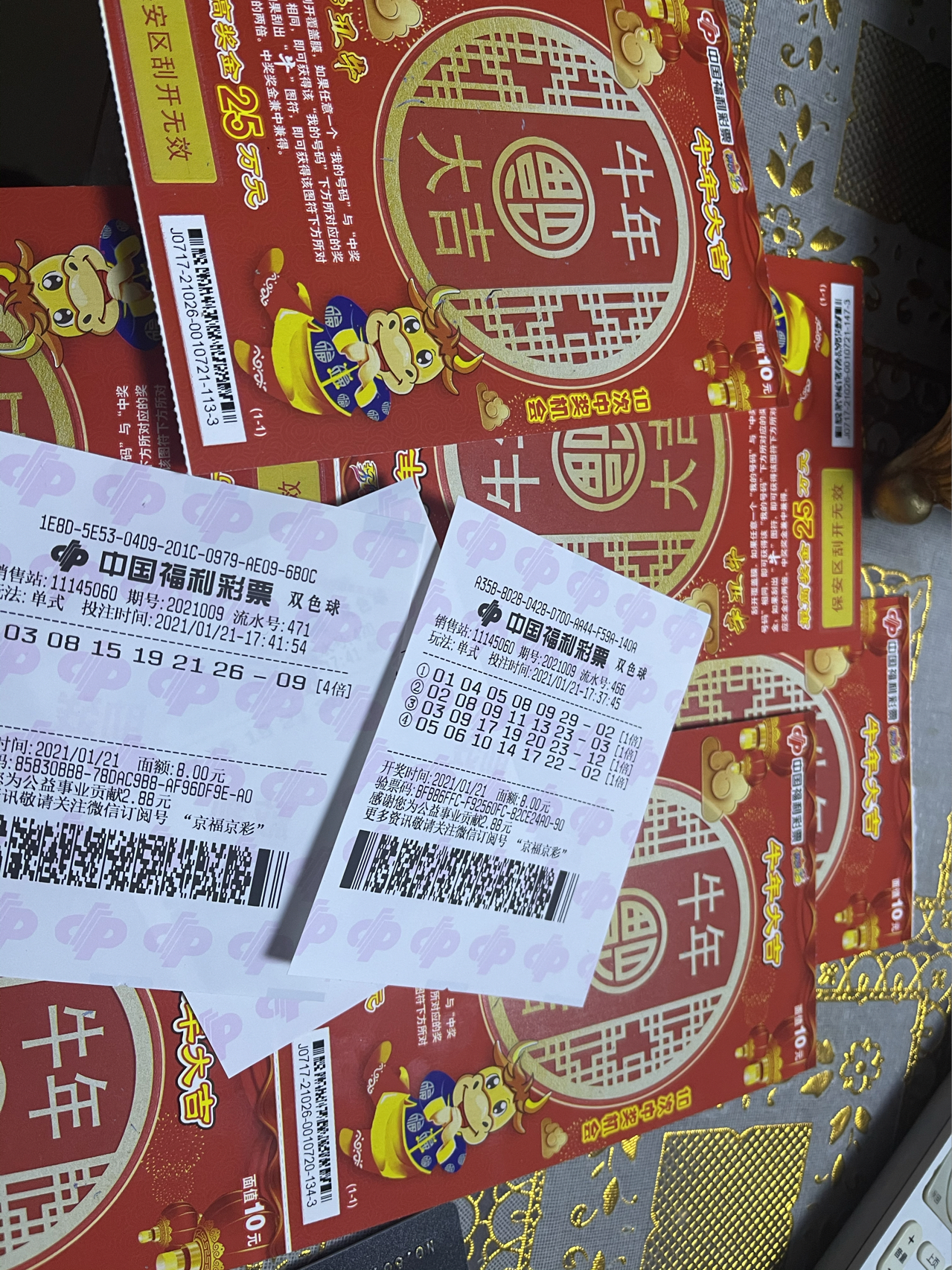 香巷平特一肖王中王，揭秘背后的秘密與SEO策略，揭秘香巷平特一肖王中王的秘密與SEO策略