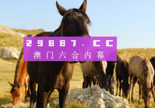 澳門八百圖庫開獎最快——全面解析與實用指南，澳門八百圖庫開獎最快，全面解析與實用指南手冊