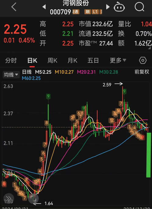 河鋼股票（代碼，000709）深度解析與前景展望，河鋼股票（代碼000709）深度解析及未來前景展望