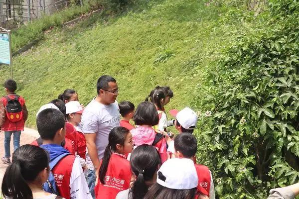 農(nóng)業(yè)氣象監(jiān)測(cè)設(shè)備，提升農(nóng)業(yè)生產(chǎn)效率的關(guān)鍵要素，農(nóng)業(yè)氣象監(jiān)測(cè)設(shè)備，提升農(nóng)業(yè)生產(chǎn)效率的關(guān)鍵驅(qū)動(dòng)力