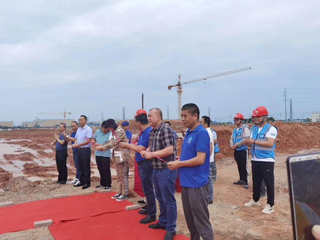 李子園股票，投資潛力與前景展望，李子園股票，投資潛力與未來前景展望