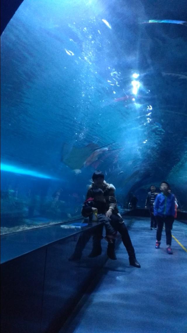 天津一日游，探索城市中的好玩地方，天津一日游，探尋城市魅力，暢游好玩之地