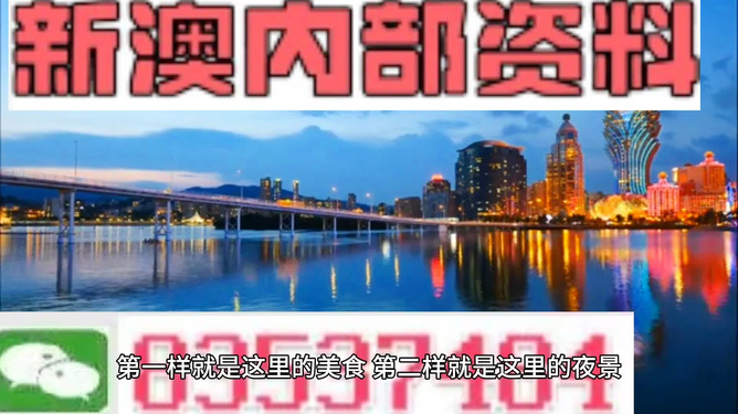 新澳門最精準(zhǔn)正最精準(zhǔn)龍門，探索與揭秘，新澳門最精準(zhǔn)正龍門探索揭秘攻略