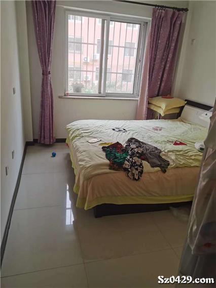 大皇王中王一肖，揭秘背后的秘密與策略，揭秘大皇王中王一肖背后的秘密與策略