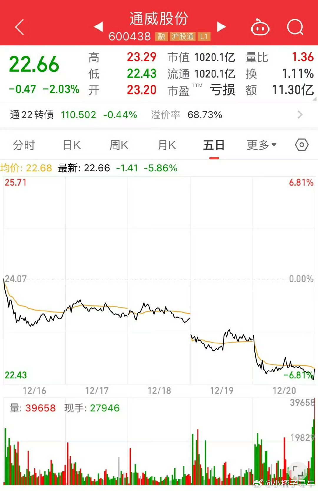 通威股份股票東方，探索與前景展望，通威股份股票東方，探索之路與前景展望