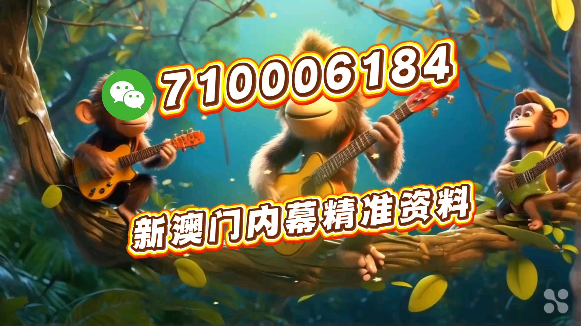 澳門(mén)一肖一碼必中特，同舟共濟(jì)，共創(chuàng)輝煌，澳門(mén)一肖一碼必中特，同舟共濟(jì)共創(chuàng)輝煌新篇章