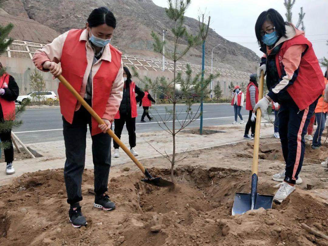 天下彩天天空彩資料免費大全管家，探索與解析，天下彩天天空彩資料大全管家，深度探索與解析