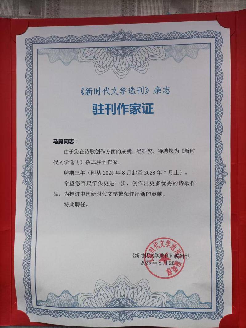 澳門正版掛牌，探索其背后的故事與重要性，澳門正版掛牌，背后的故事與重要性探索