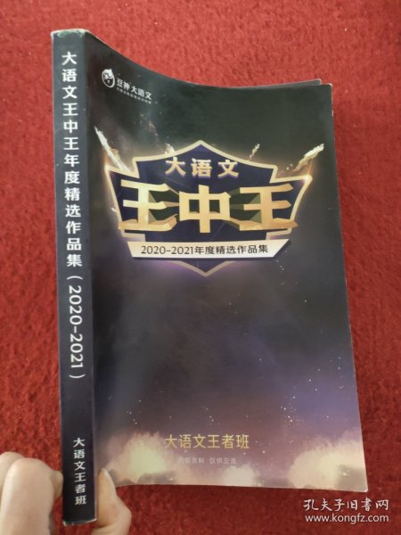 揭秘2021王中王資料一肖中v，深度解析與前瞻，揭秘與深度解析，王中王資料一肖中v的前瞻報(bào)告（2021版）