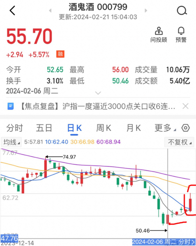 酒鬼酒股吧，深度解析與投資策略探討，酒鬼酒股吧深度解析及投資策略探討