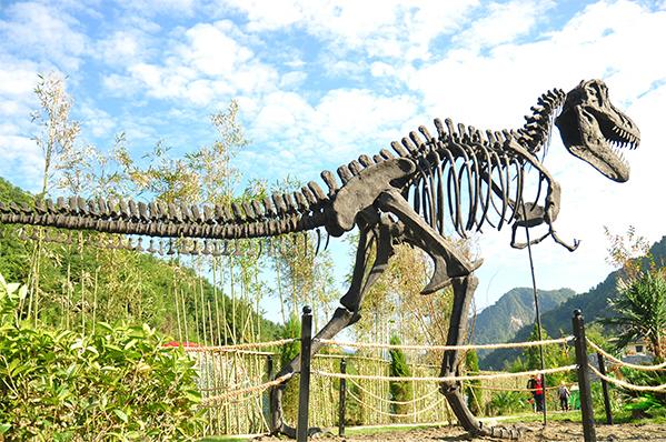 成都市區(qū)內(nèi)好玩的地方，探索魅力之都的無限樂趣，探索成都市區(qū)魅力，無限樂趣的游玩之地