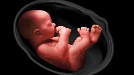 孕婦嚴(yán)重缺鈣的征兆，了解并預(yù)防早期跡象，孕婦嚴(yán)重缺鈣征兆解析，早期預(yù)防與識別關(guān)鍵跡象