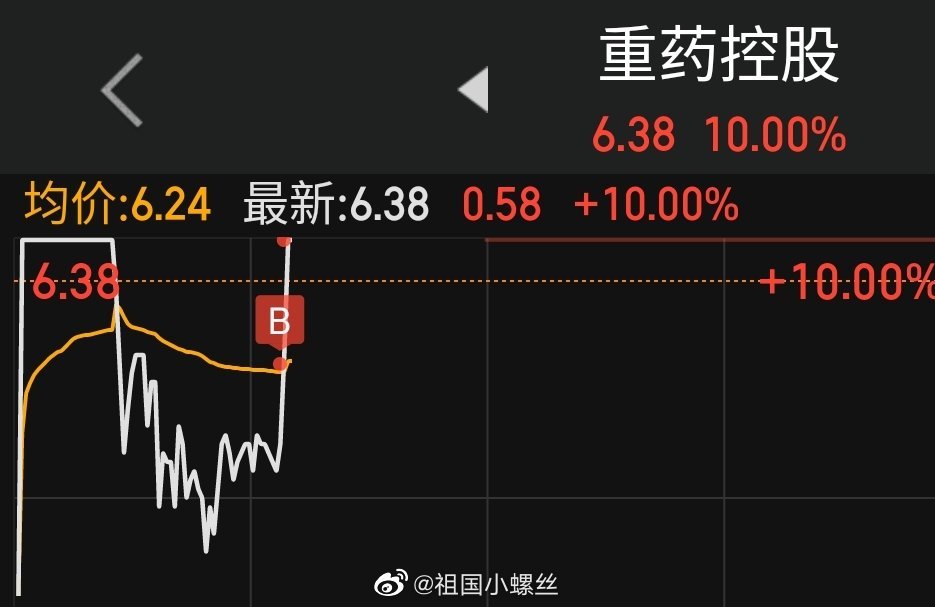 重藥控股股票，投資前景深度解析，重藥控股股票投資前景深度剖析