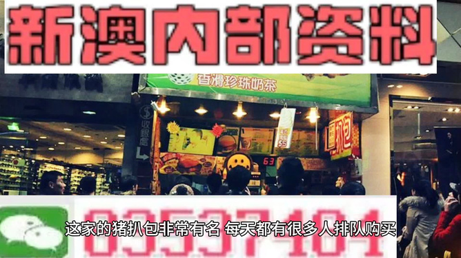 新澳天天開彩資料大全——探索彩票世界的秘密，新澳天天開彩資料大全，揭秘彩票世界的奧秘