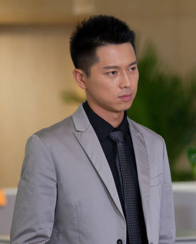 王雷主演的電視劇大全最新，精彩紛呈的角色演繹與劇情回顧，王雷主演電視劇大全，精彩角色演繹與劇情回顧