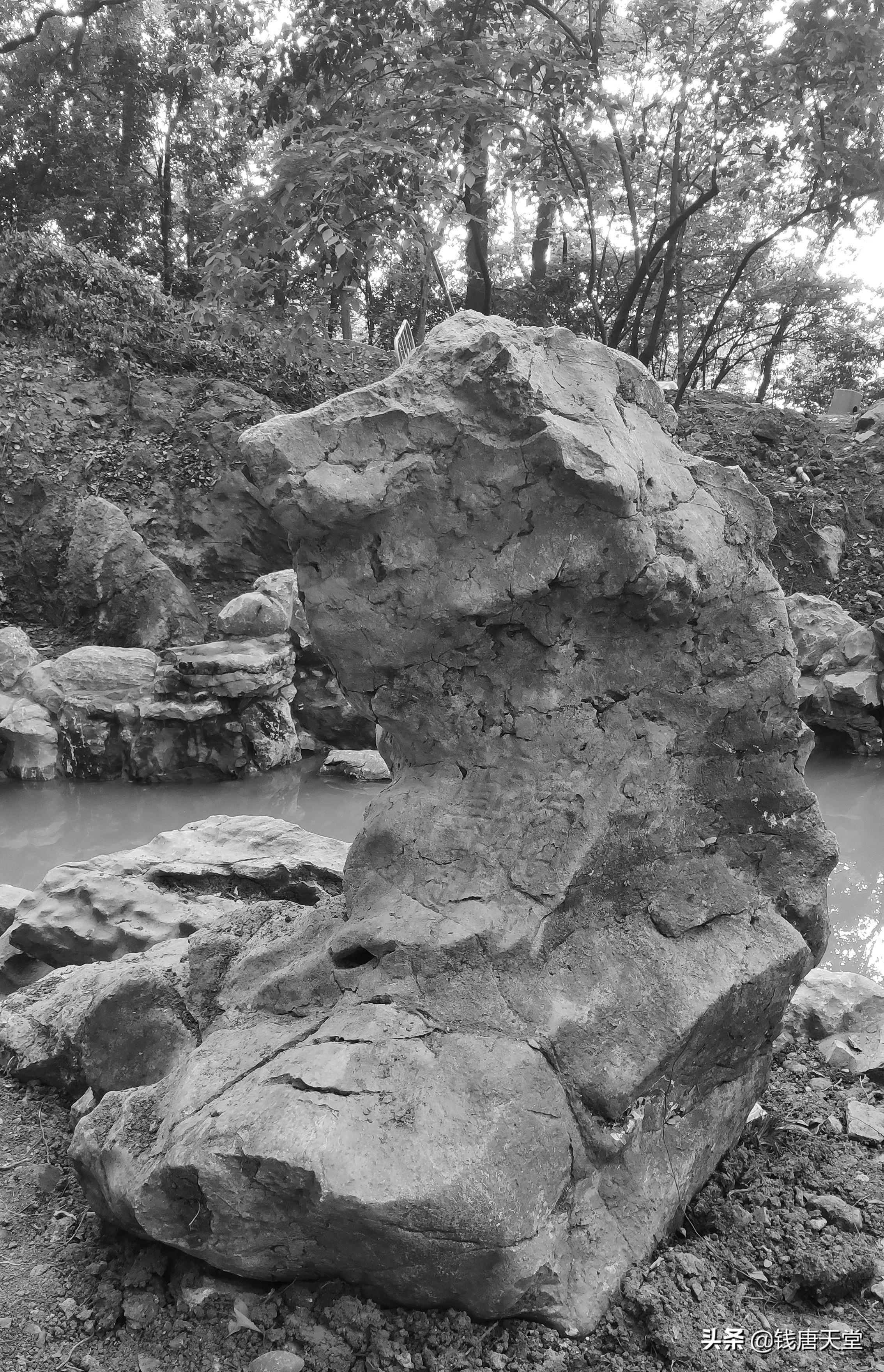 演員吳越個(gè)人資料男，一位備受矚目的影視新星，影視新星吳越的個(gè)人資料簡(jiǎn)介