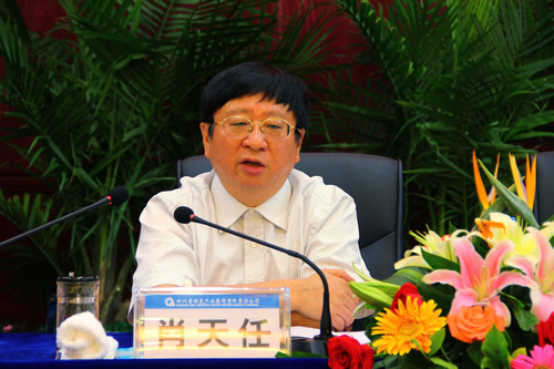 王中王資科一肖中持天，深度解析與SEO優(yōu)化策略，王中王資科一肖中持天深度解析與SEO優(yōu)化策略探討