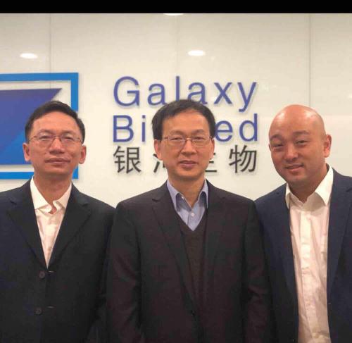 關(guān)于代碼000806的奧秘，深度解析與SEO優(yōu)化策略，代碼000806奧秘揭秘，深度解析與SEO優(yōu)化策略探討