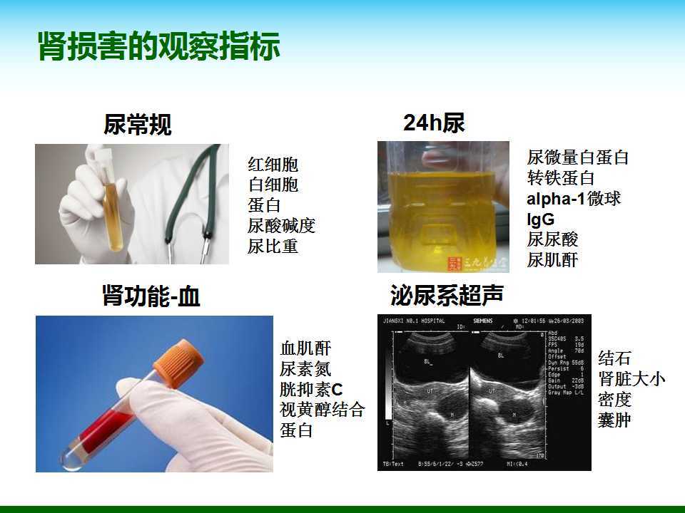 尿酸水平升高與腎臟健康，尿酸460是否意味著腎臟已經(jīng)受損？，尿酸水平升高與腎臟健康關(guān)系解析，尿酸460是否預(yù)示腎臟受損？