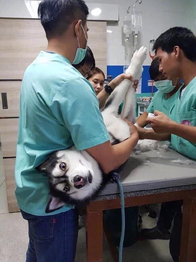 為什么不建議女性進(jìn)行結(jié)扎手術(shù)？全面解析風(fēng)險(xiǎn)與利弊，關(guān)于女性結(jié)扎手術(shù)的風(fēng)險(xiǎn)與利弊的全面解析，為何需謹(jǐn)慎選擇？