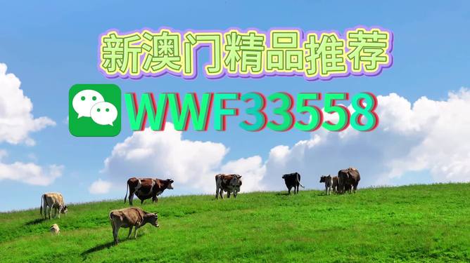 揭秘今晚9點(diǎn)30生肖運(yùn)勢，你的生肖運(yùn)勢如何？，揭秘今晚9點(diǎn)30生肖運(yùn)勢，你的生肖運(yùn)勢走向如何？