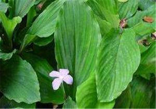 牙痛不止？嘗試這十秒止疼法，輕松緩解不適，十秒止疼法，輕松緩解牙痛不適