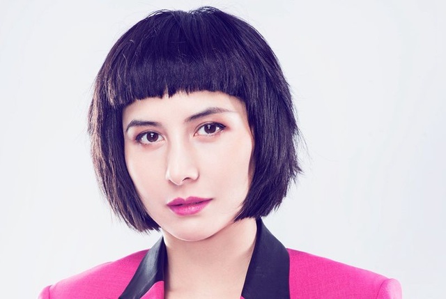 何超儀的個人資料，探索明星之路的璀璨人生，何超儀的明星之路，璀璨人生的探索