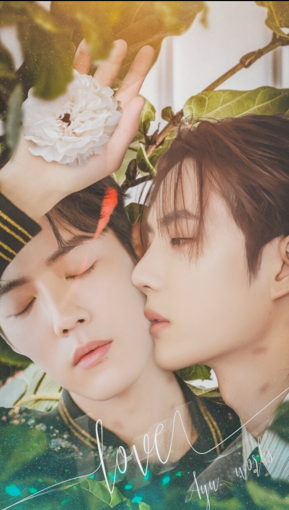 白小姐王中王一肖資料，揭秘背后的故事與神秘面紗，揭秘白小姐王中王一肖背后的故事與神秘面紗