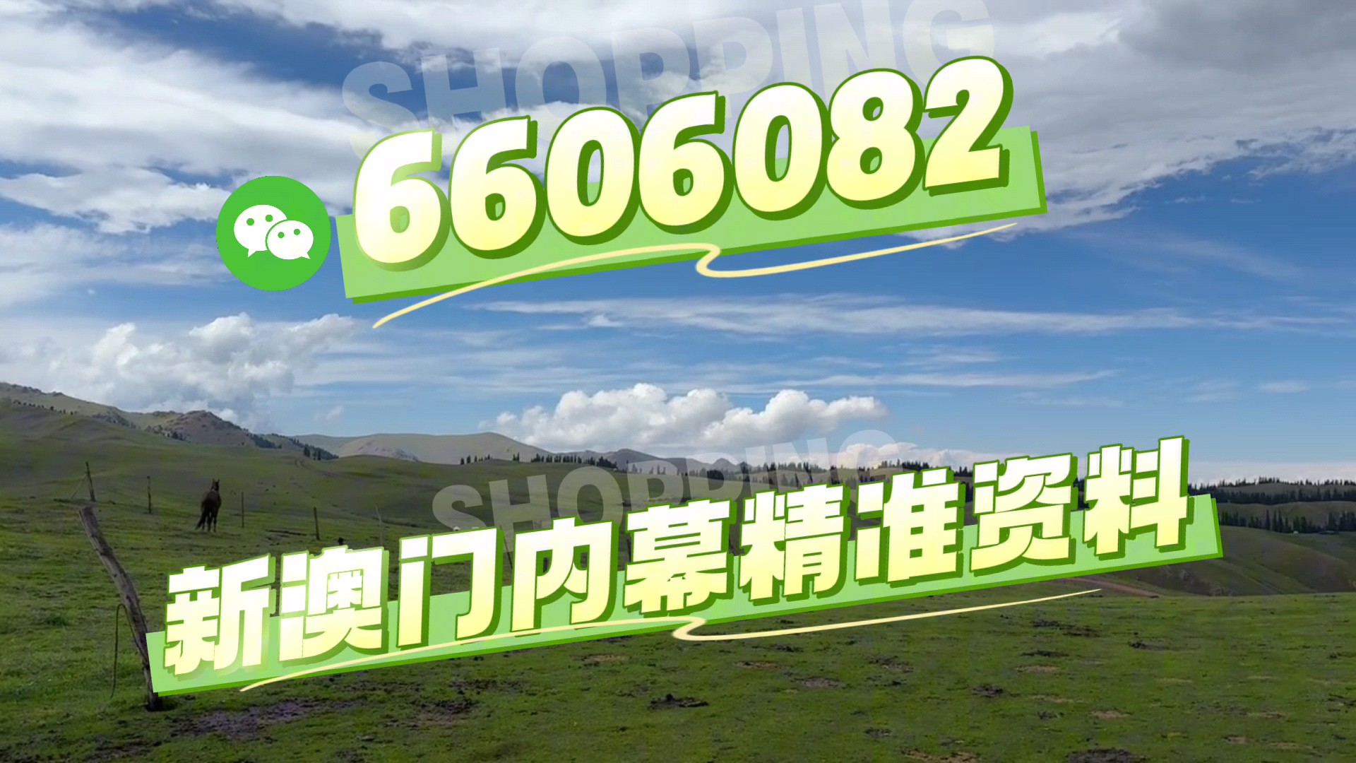 澳門特馬第138期開獎預測與解析（2025年今晚版），澳門特馬第138期開獎預測與解析（今晚版2025年）