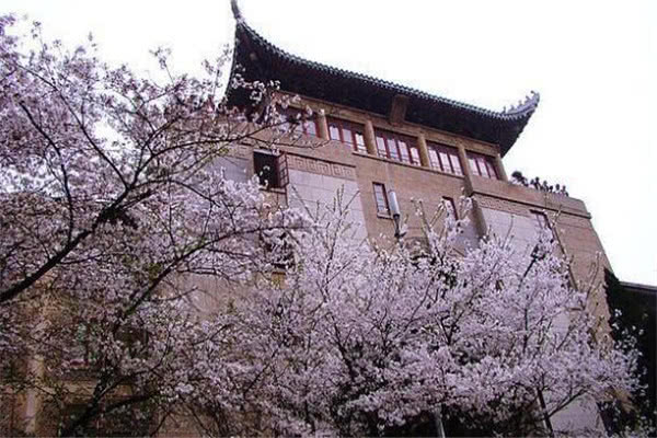 武漢景點(diǎn)排名，探尋歷史文化名城的不朽魅力，武漢景點(diǎn)排名揭秘，歷史文化名城的魅力之旅