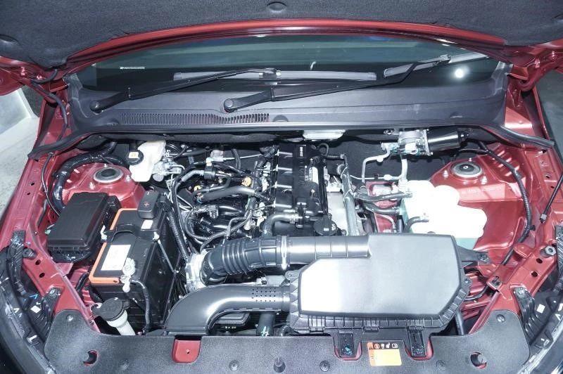 揭秘2021王中王資料一肖，全方位解讀，洞悉其獨(dú)特魅力，揭秘2021王中王資料一肖，全方位解讀獨(dú)特魅力，洞悉真相