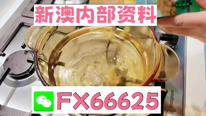 新澳一碼料，深度解析與SEO優(yōu)化策略，新澳一碼料深度解析與SEO優(yōu)化策略指南