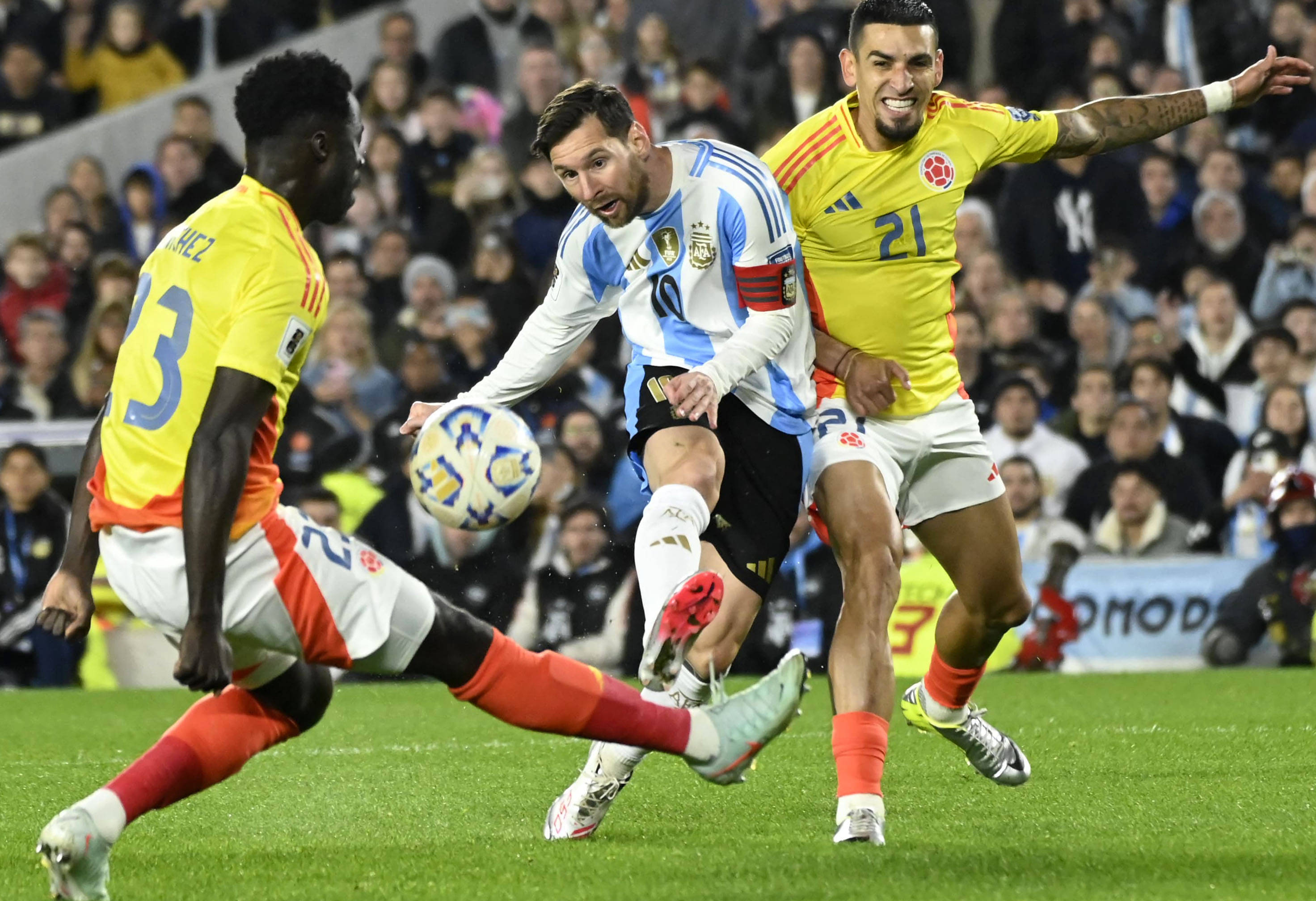 王中王077期一肖特種，深度解析與SEO優(yōu)化策略，王中王077期生肖特種深度解析與SEO優(yōu)化策略探討