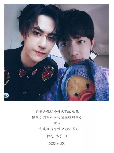 王中王一肖資料一肖王，深度解析與SEO優(yōu)化文章，王中王一肖資料深度解析與SEO優(yōu)化策略探討