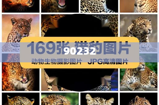 2025新澳天天開好彩大全第78期精彩回顧與前瞻，新澳天天開第78期精彩回顧與前瞻，展望未來的彩票之旅