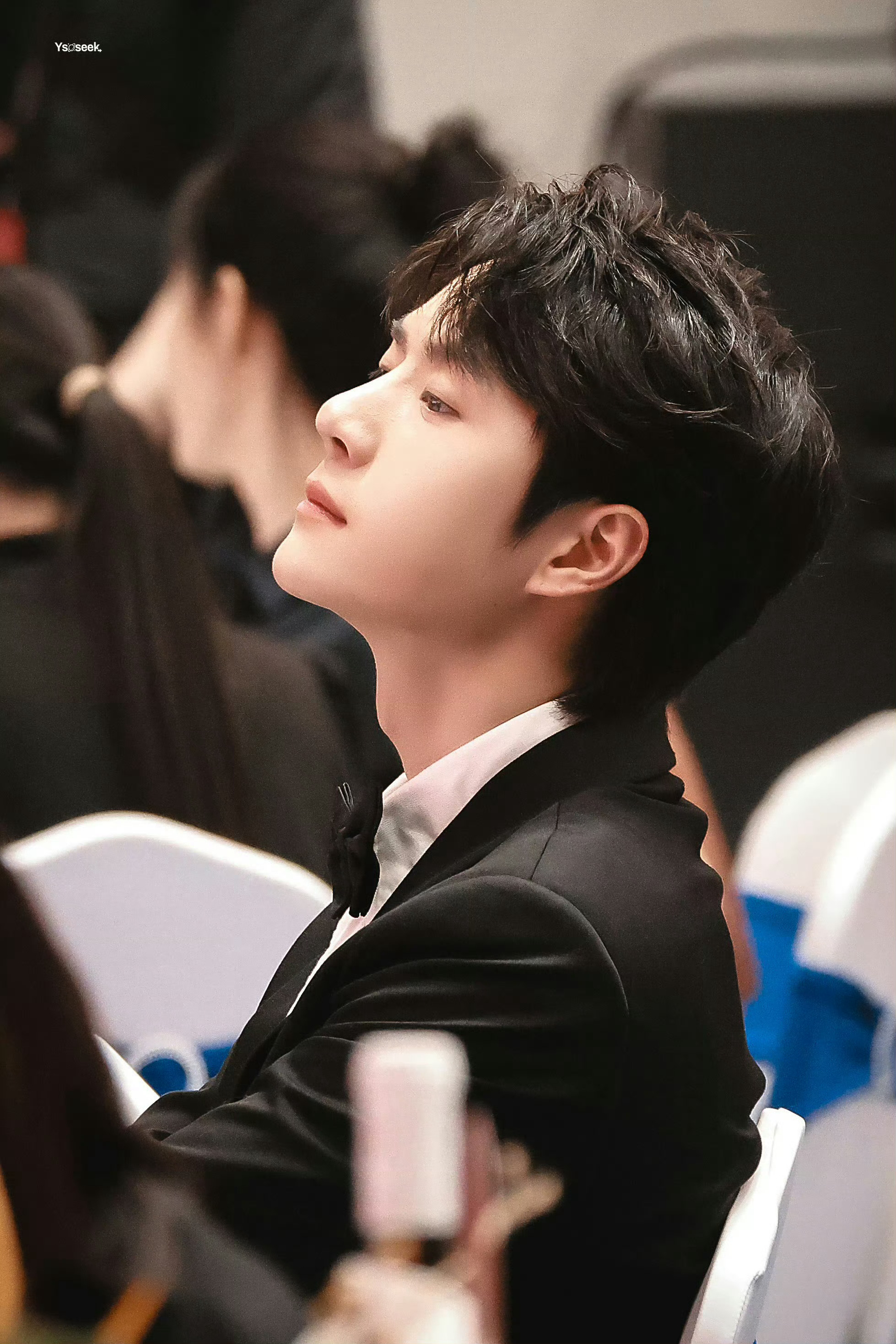 王中王一肖中特鐵算子，揭秘背后的秘密與策略，揭秘王中王一肖中特鐵算子的秘密與策略