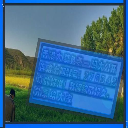 澳門三肖三碼必開一期，揭秘背后的秘密與策略，澳門三肖三碼必開一期揭秘，秘密與策略揭秘