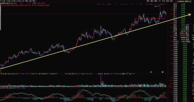中國十大龍頭股，引領(lǐng)股市，展現(xiàn)經(jīng)濟(jì)力量，中國十大龍頭股引領(lǐng)股市，展現(xiàn)強勁經(jīng)濟(jì)力量